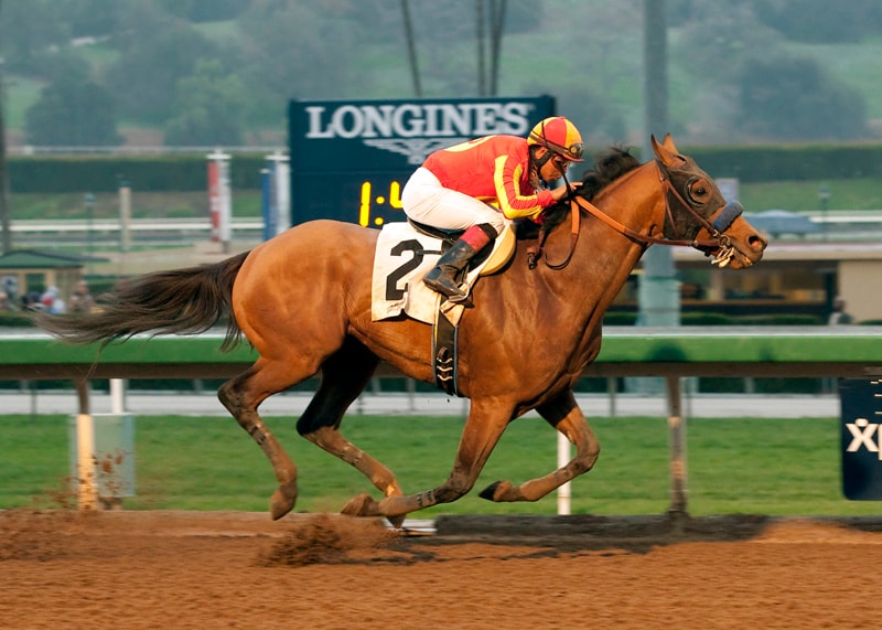 Hoppertunity seeks title defense in San Antonio