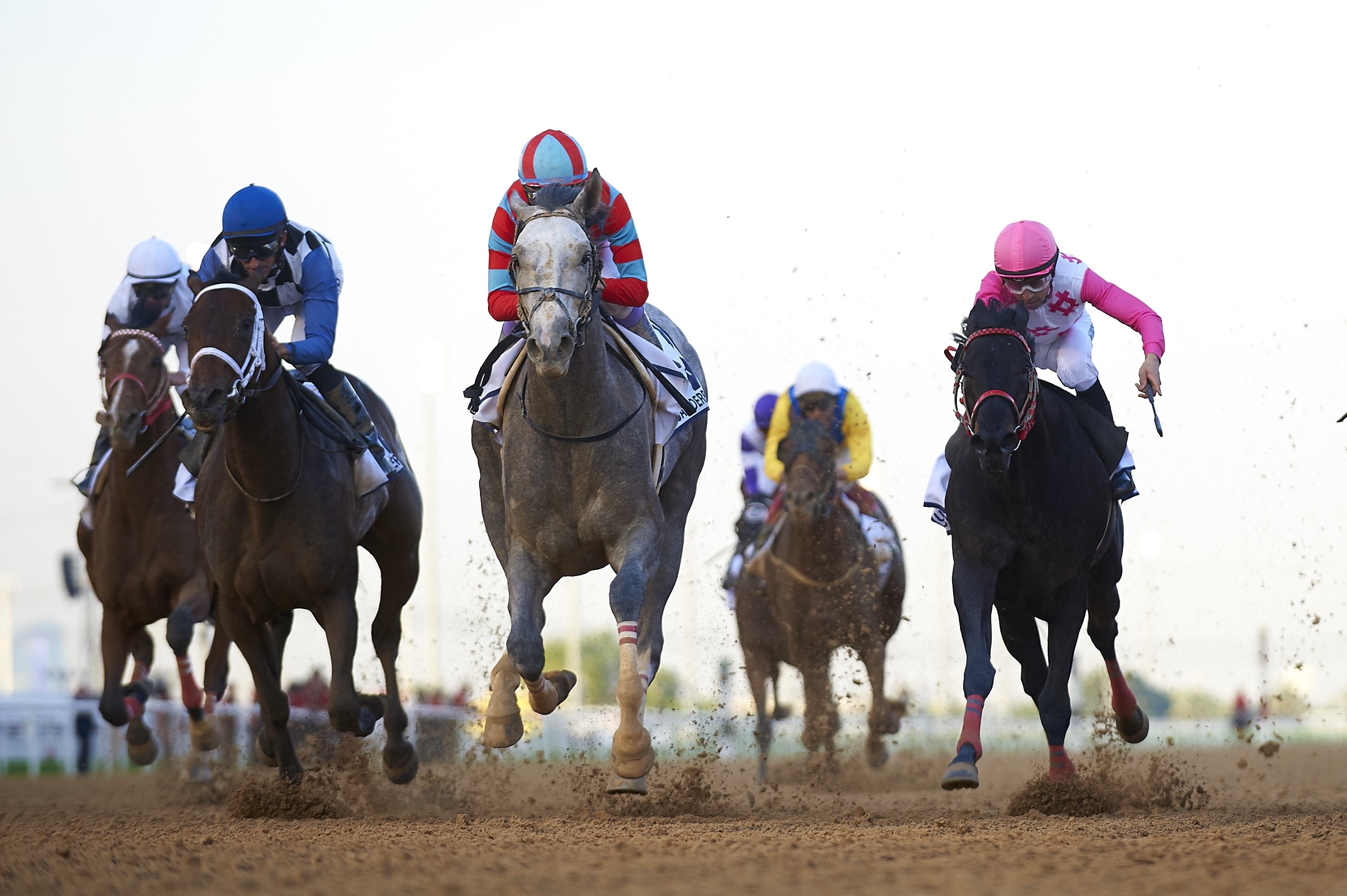 Lani seeks Dubai World Cup ticket in Al Maktoum Challenge Round 3