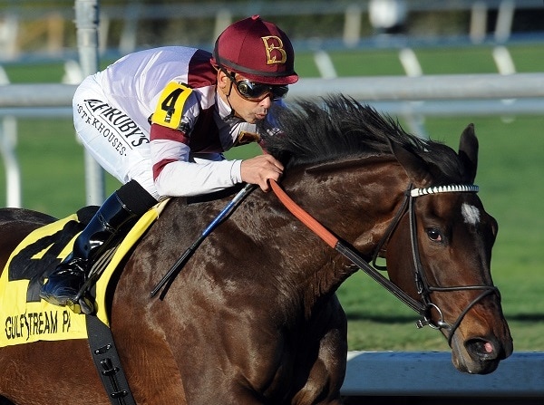 Royal Delta dead at age nine due to foaling complications