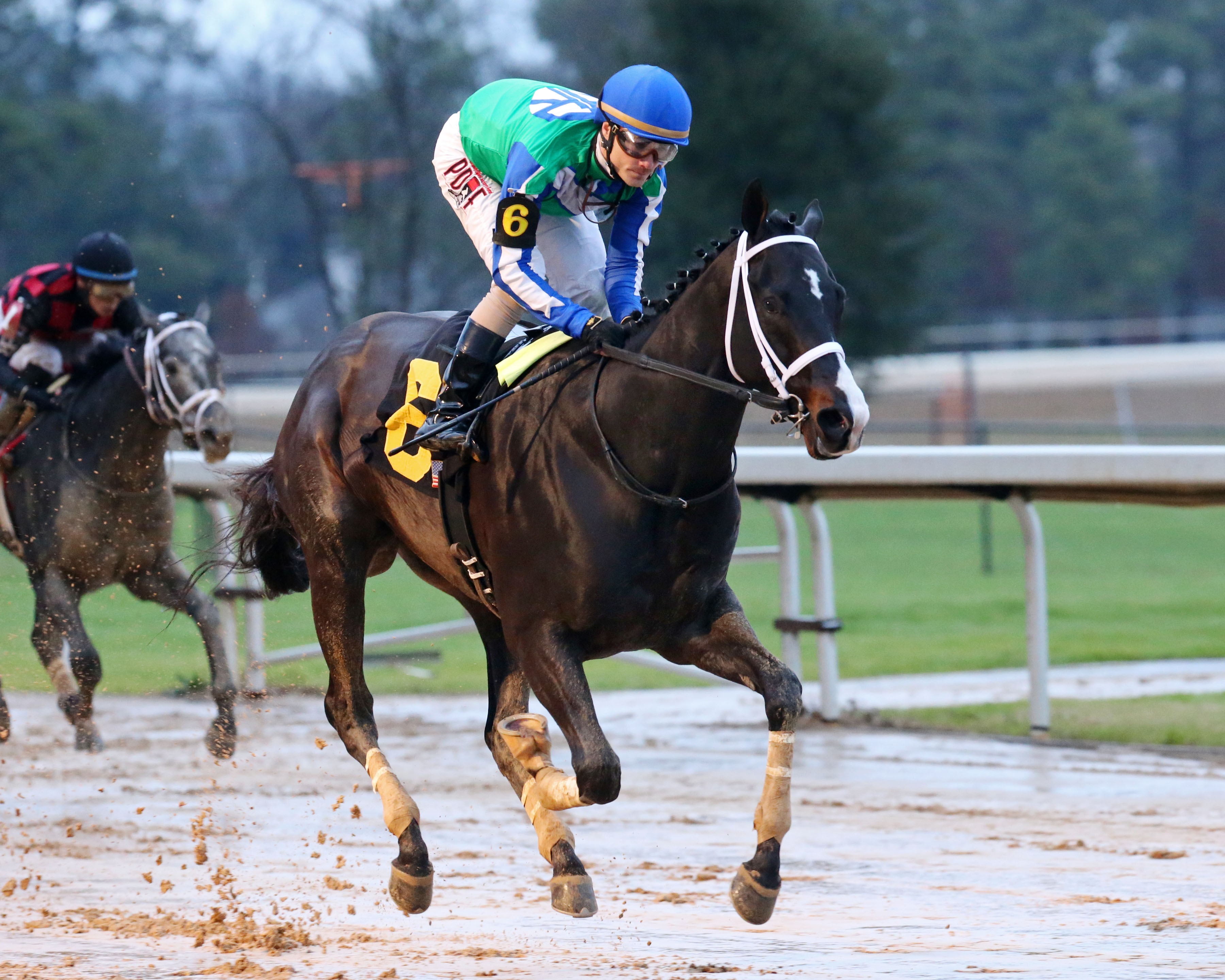 Uncontested tops baker's dozen in Southwest