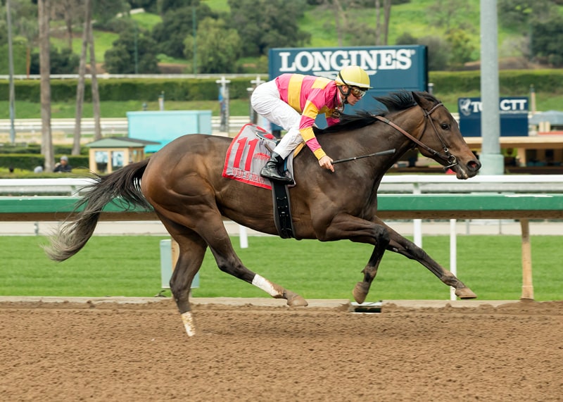 Wild at Heart makes grade in off-the-turf Buena Vista