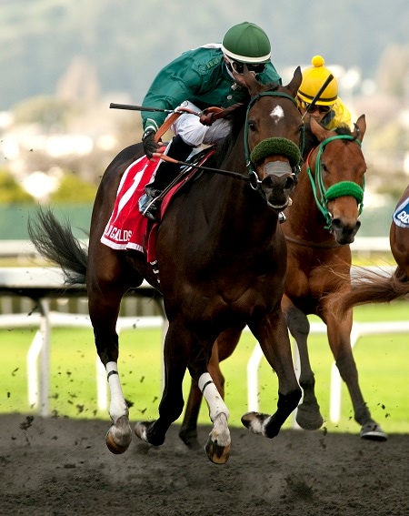 Zakaroff posts 48-1 stunner in El Camino Real Derby
