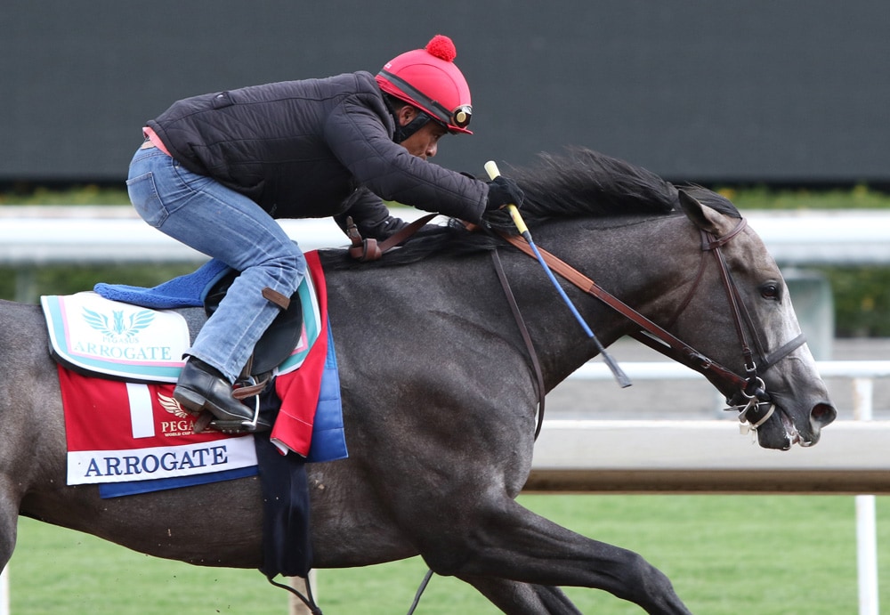 Arrogate pleases Baffert in Dubai World Cup drill