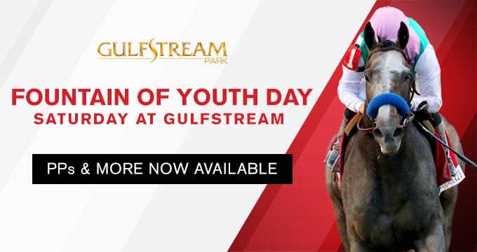 Predicteform Analysis of Fountain of Youth Stakes 2020
