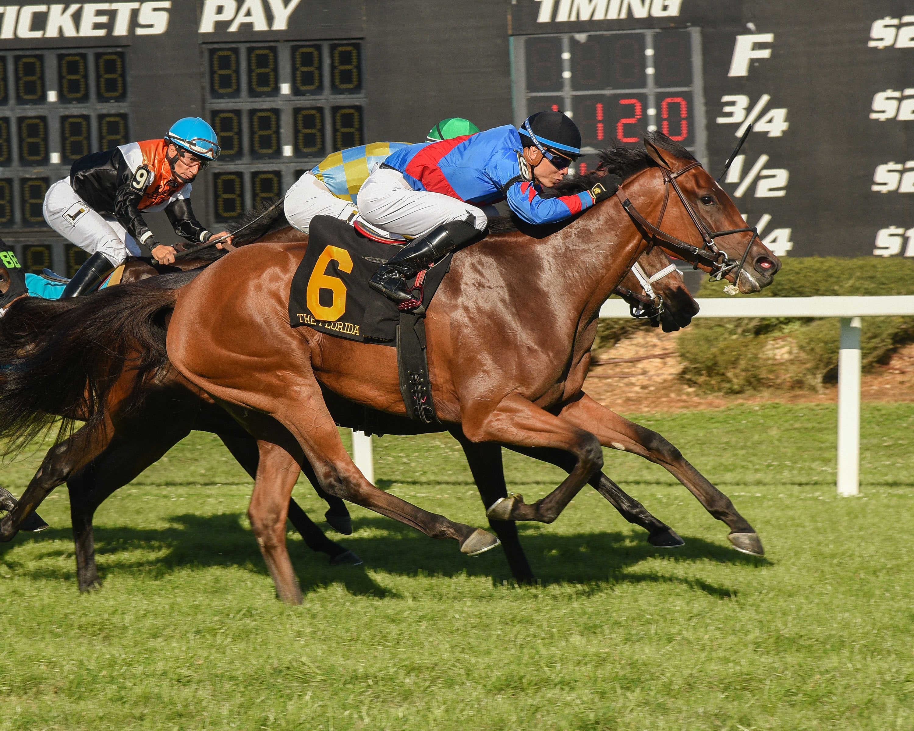 Fifty Five rallies from far back to win Florida Oaks