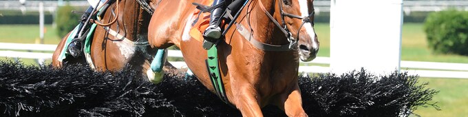 Good Night Shirt, Tom Voss elected to Hall of Fame