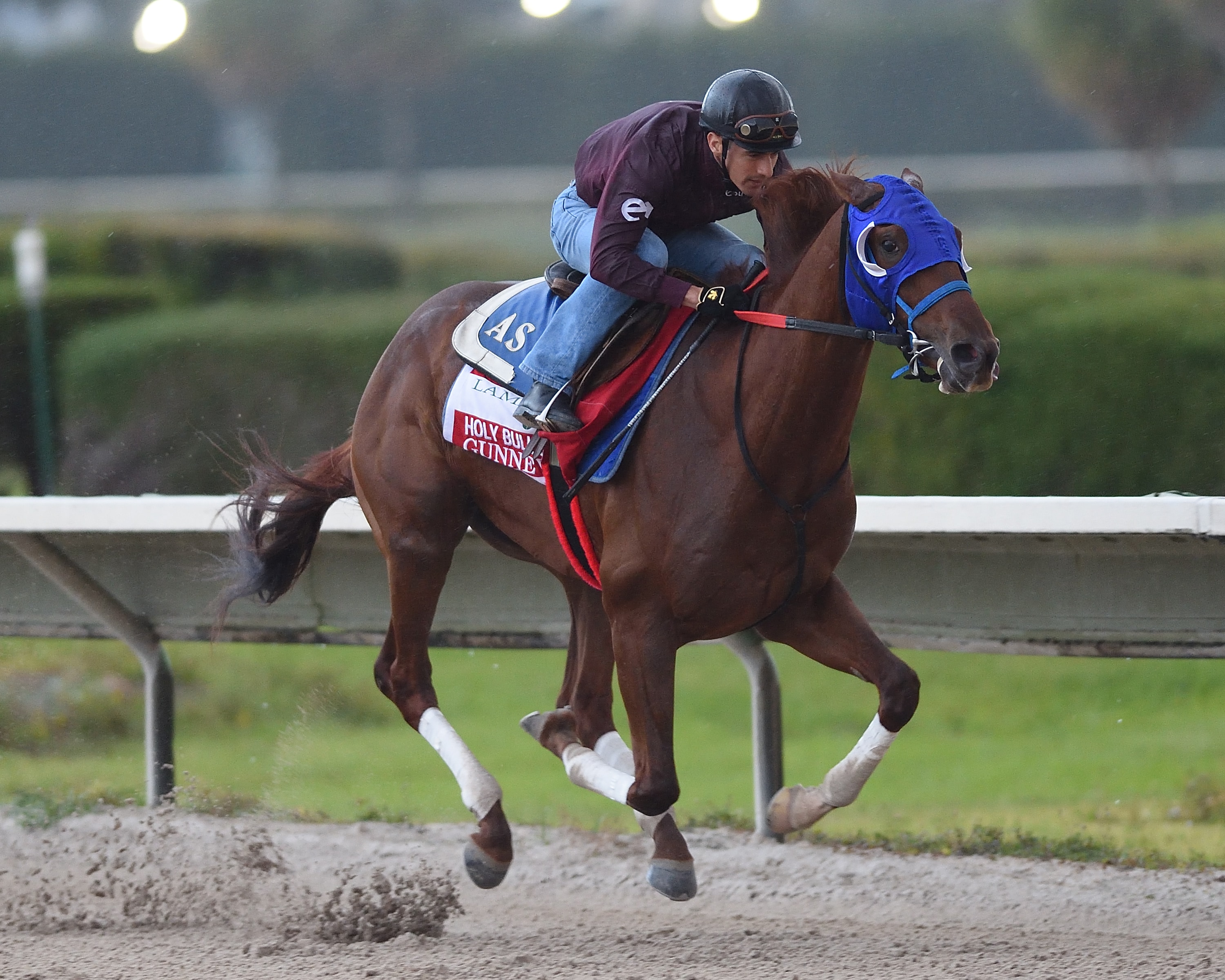 Gunnevera leads Florida Derby worktab