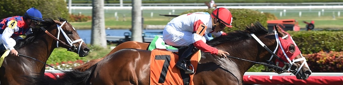 Kitten's Cat favored against 11 foes in Spiral