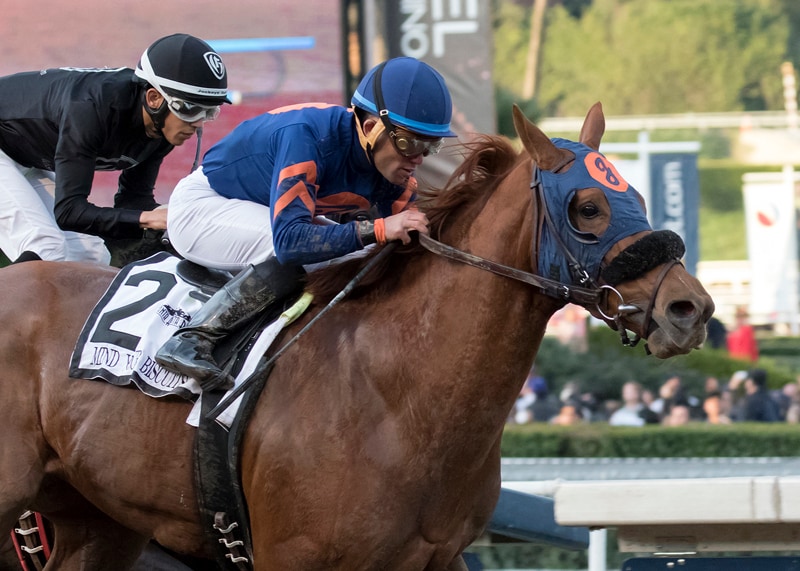 Mind Your Biscuits tops U.S. squad for Dubai Golden Shaheen