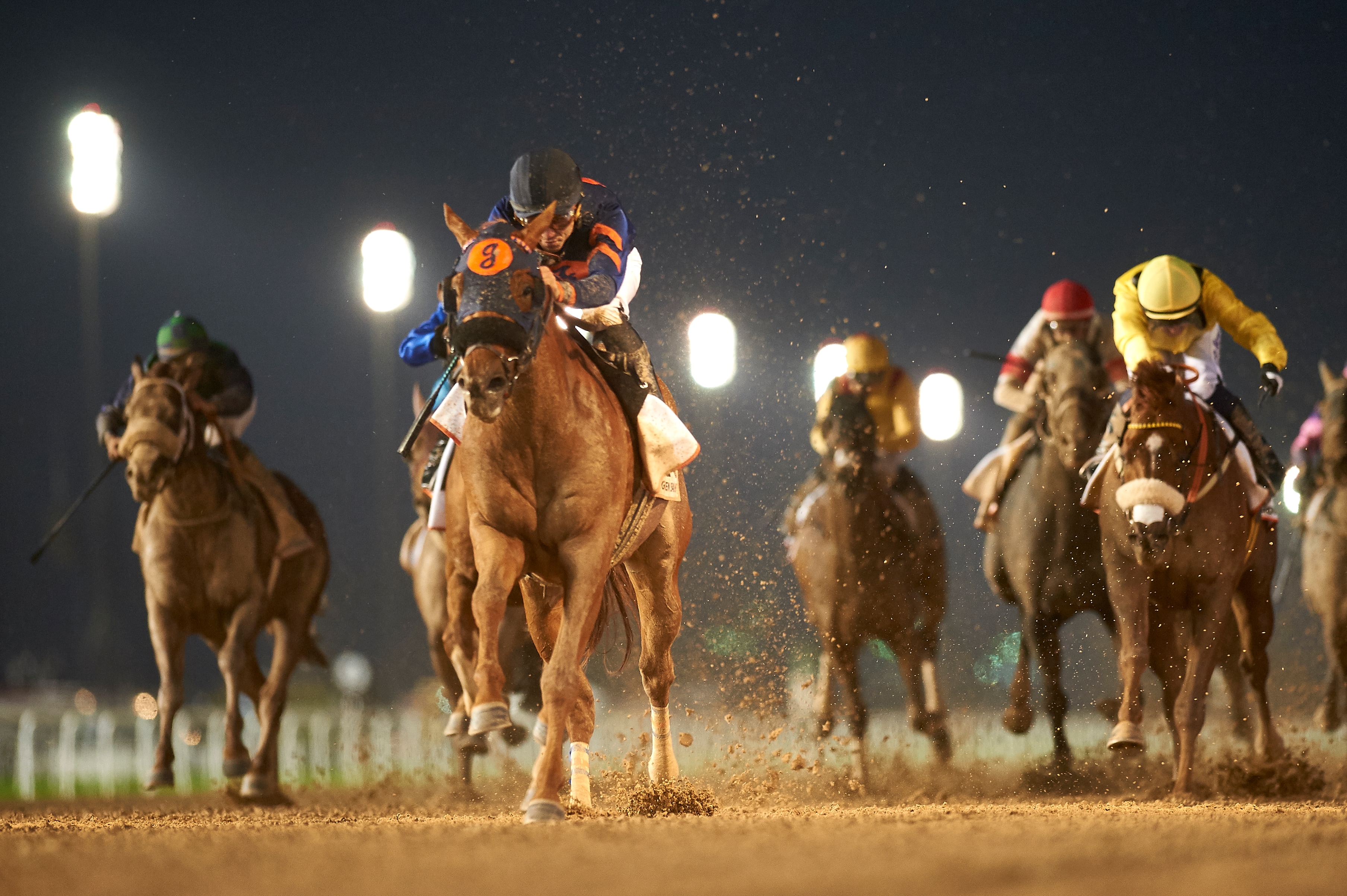Mind Your Biscuits too hot to handle in Dubai Golden Shaheen