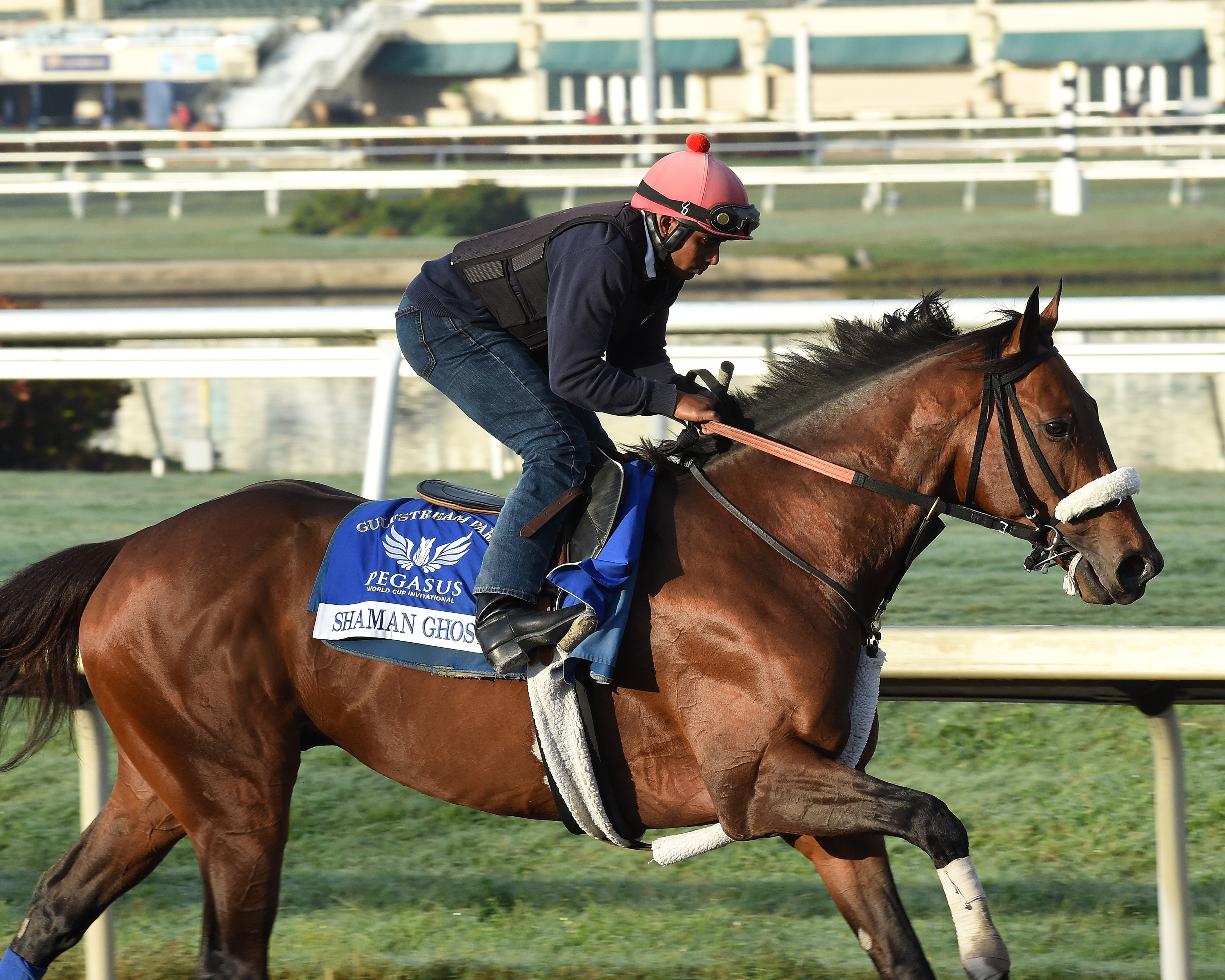 Shaman Ghost, Midnight Storm starting highweights in Big ‘Cap