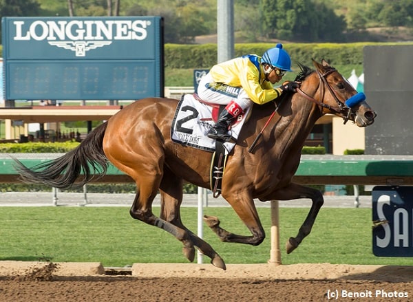 Vale Dori too good for Finest City in Santa Margarita
