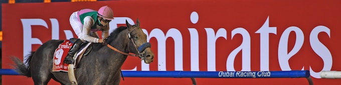 Juddmonte Farms – 2017 Outstanding Owner