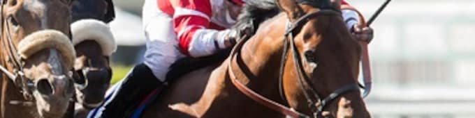 Derby contender Battle of Midway bought by WinStar, Don Alberto