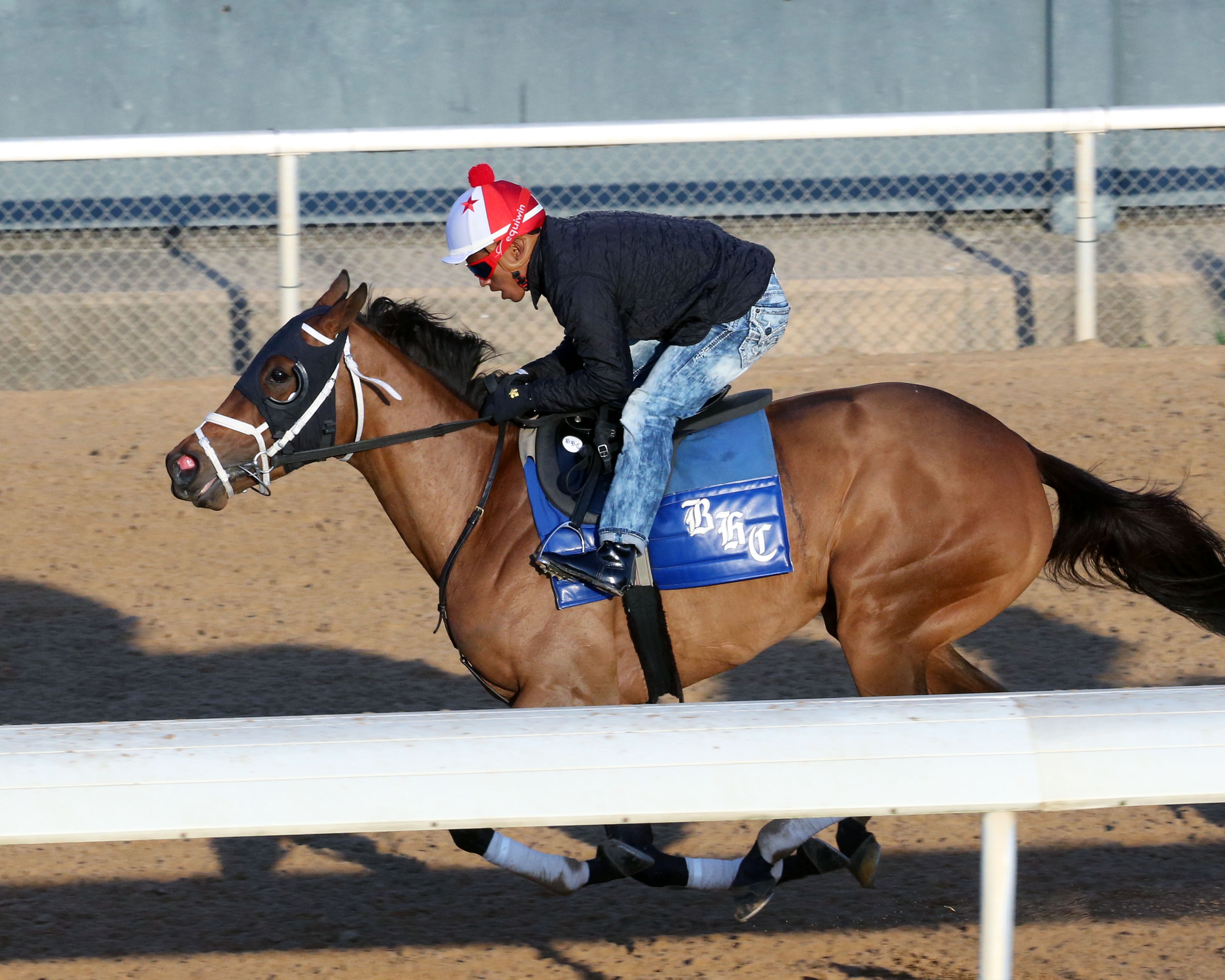 Benner Island ready to stamp Oaks ticket in Fantasy