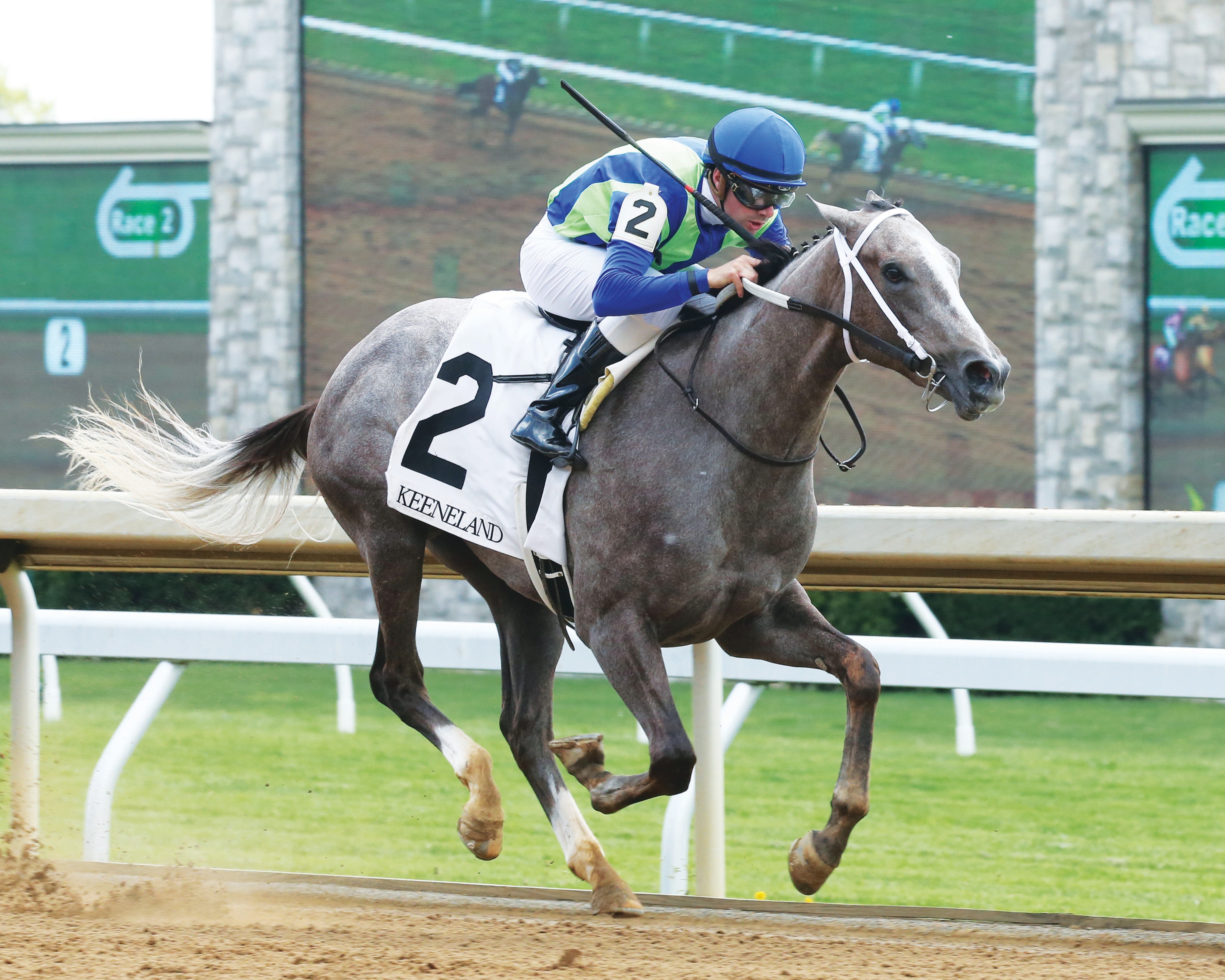 Violence’s first winner Buy Sell Hold romps at Keeneland