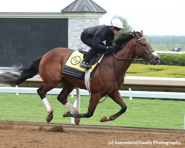 Kentucky Derby quartet work at Churchill Downs, Keeneland