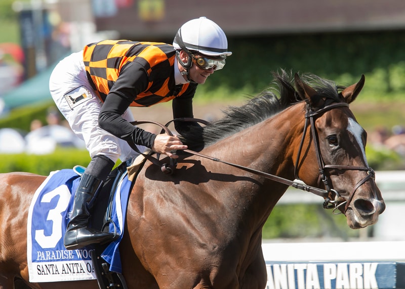 Paradise Woods leaves her mark with record-setting Santa Anita Oaks win