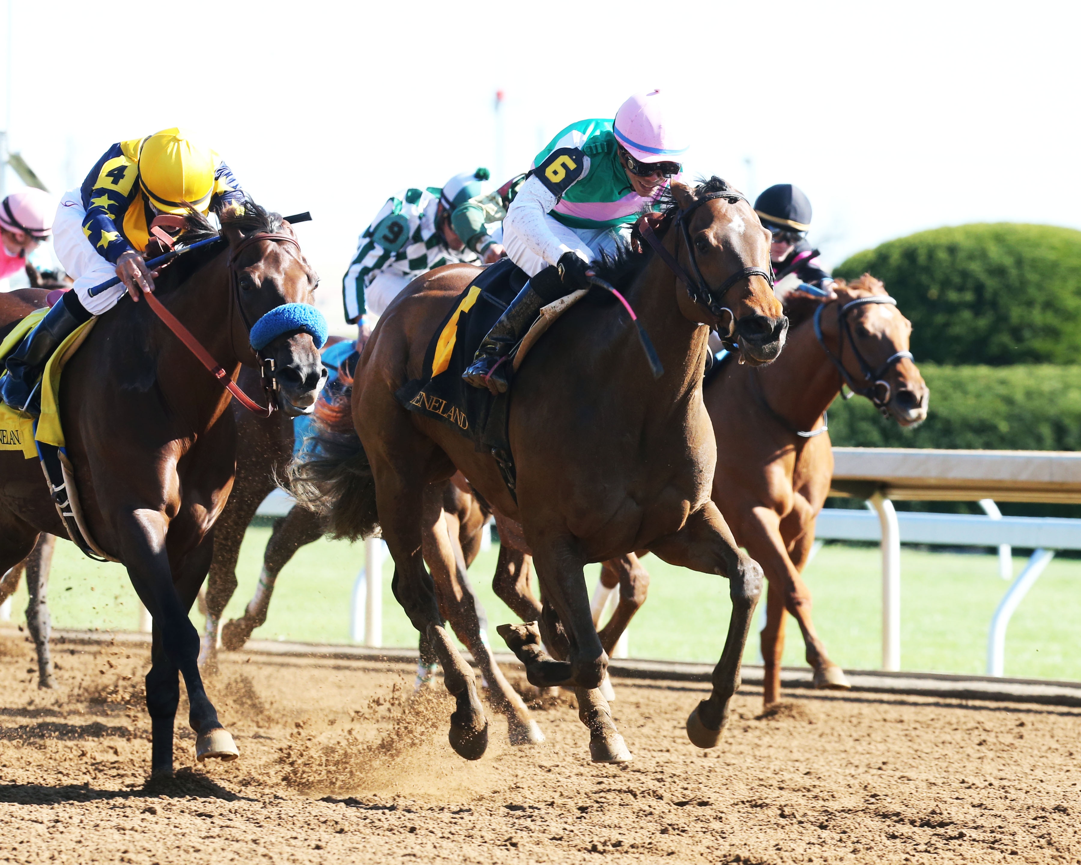 Paulassilverlining hoping for better outcome in Honorable Miss