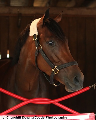 Daddys Lil Darling, Tequilita ready for Kentucky Oaks at Keeneland