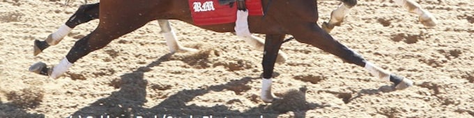 Silver Dust breezes bullet ahead of Arkansas Derby