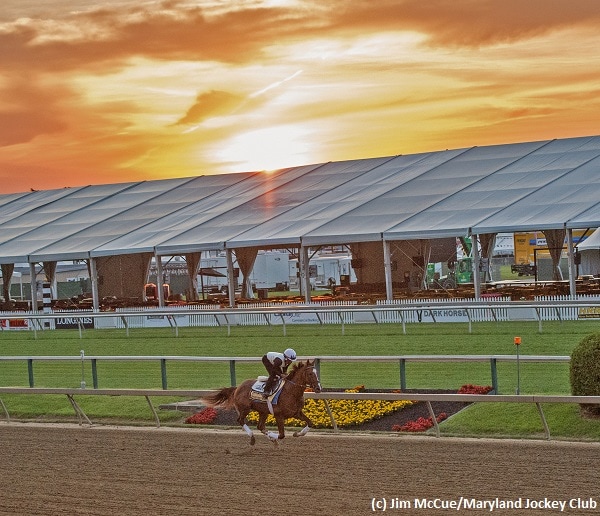 Where and when can I watch the 142nd running of the Preakness Stakes?