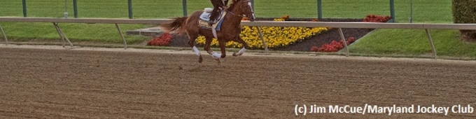 Where and when can I watch the 142nd running of the Preakness Stakes?