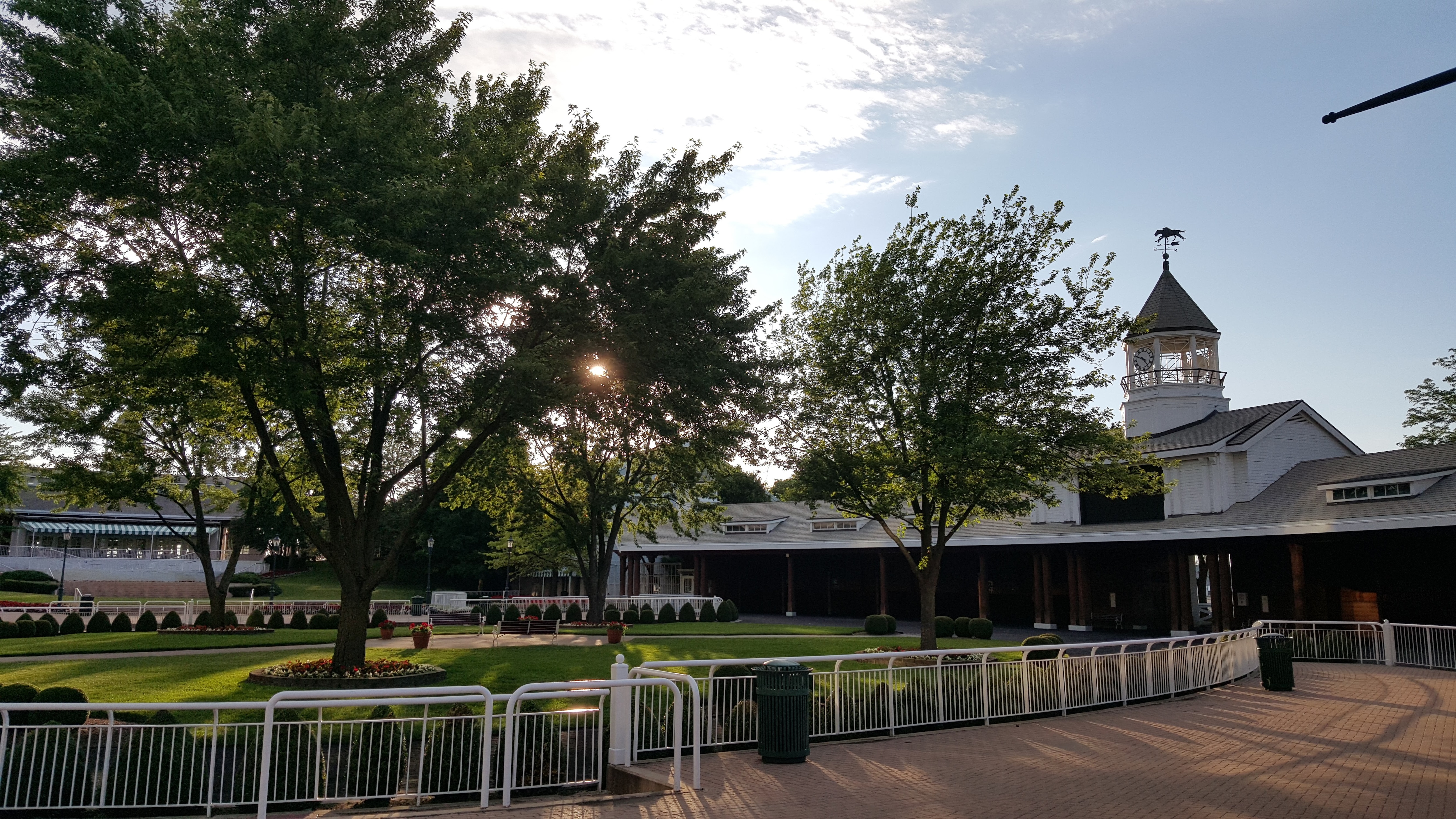 How to Play Arlington Park Using FREE Brisnet Premium PPs