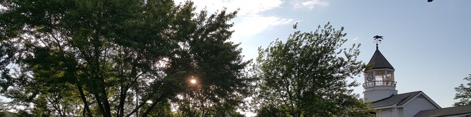 How to Play Arlington Park Using FREE Brisnet Premium PPs