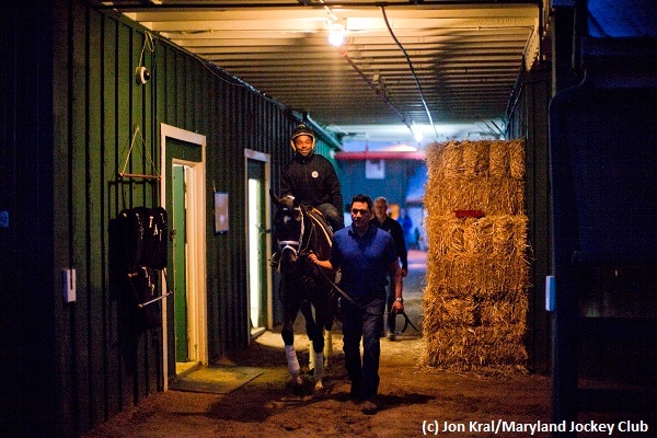 Always Dreaming ‘strong but controlled’ ahead of Preakness
