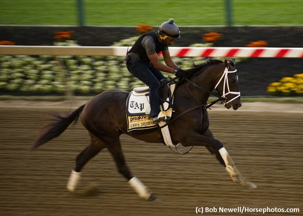 Pletcher: Always Dreaming ‘doing unbelievably well’ ahead of Preakness