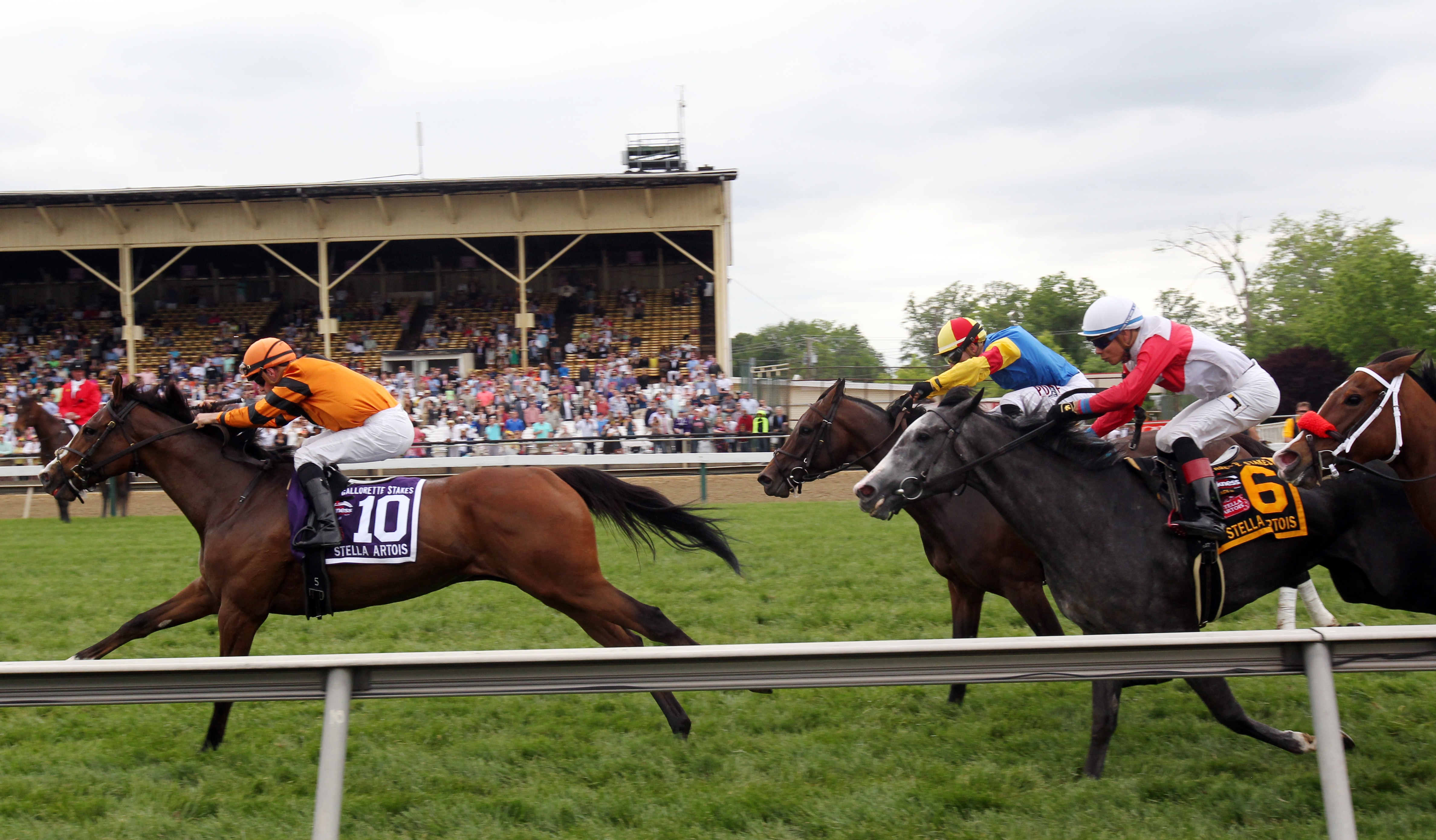 Cambodia capitalizes in Gallorette