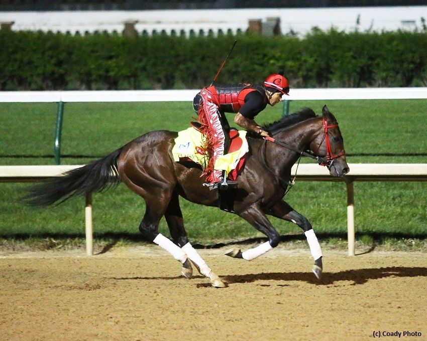 Belmont Stakes Report May 31: Classic Empire casts a large shadow