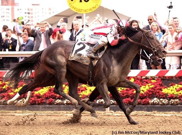 Preakness Stakes 142 Trainer & Jockey Quotes