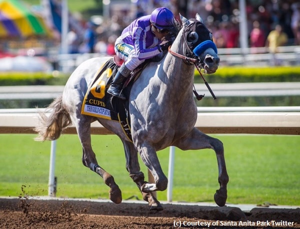 Cupid returns from layoff to take Gold Cup at Santa Anita in seasonal bow