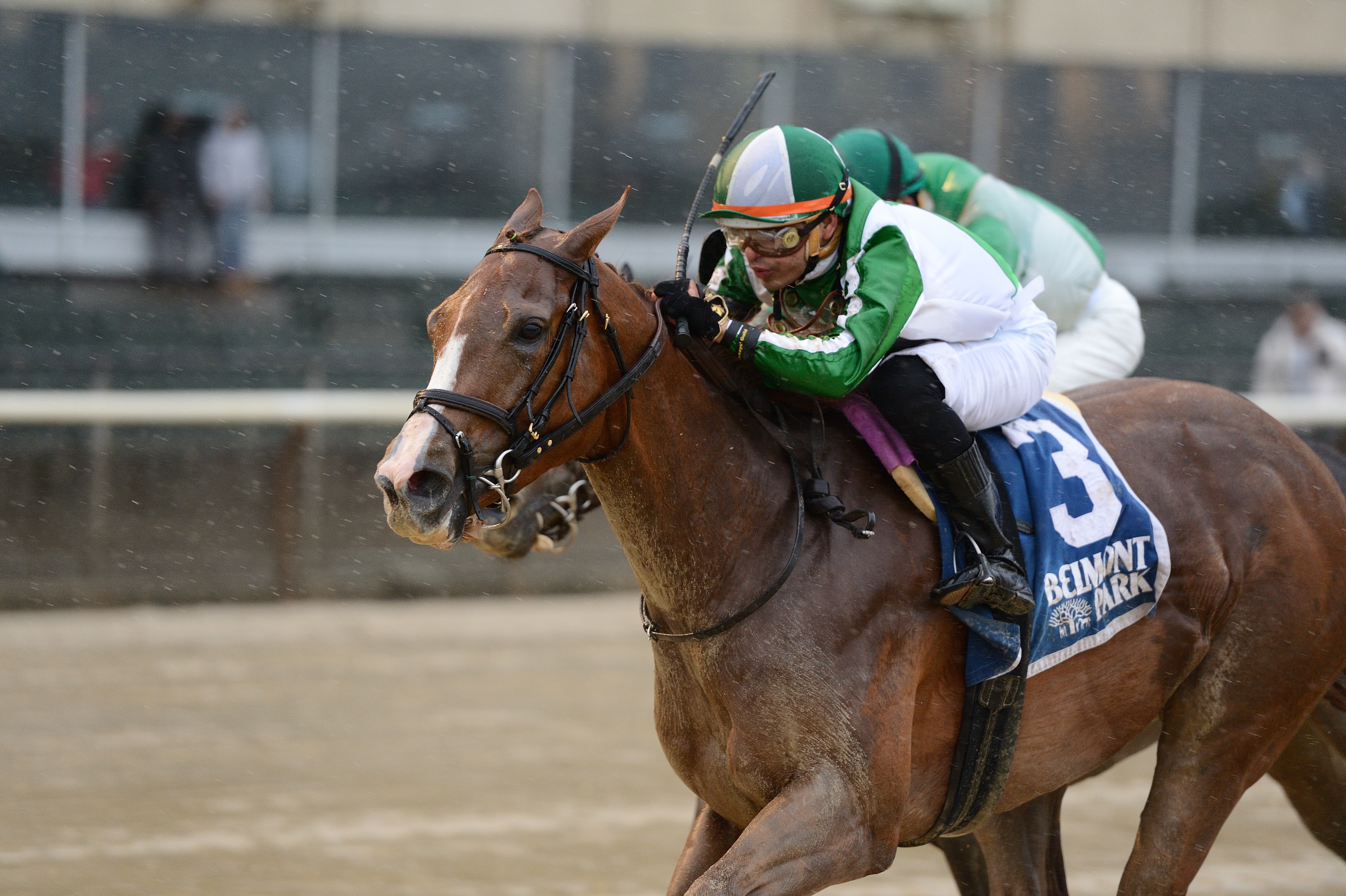 Highway Star uses inside trip to edge Bar of Gold in Ruffian