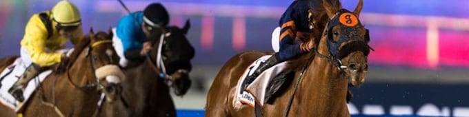 Mind Your Biscuits records first breeze since taking Dubai Golden Shaheen