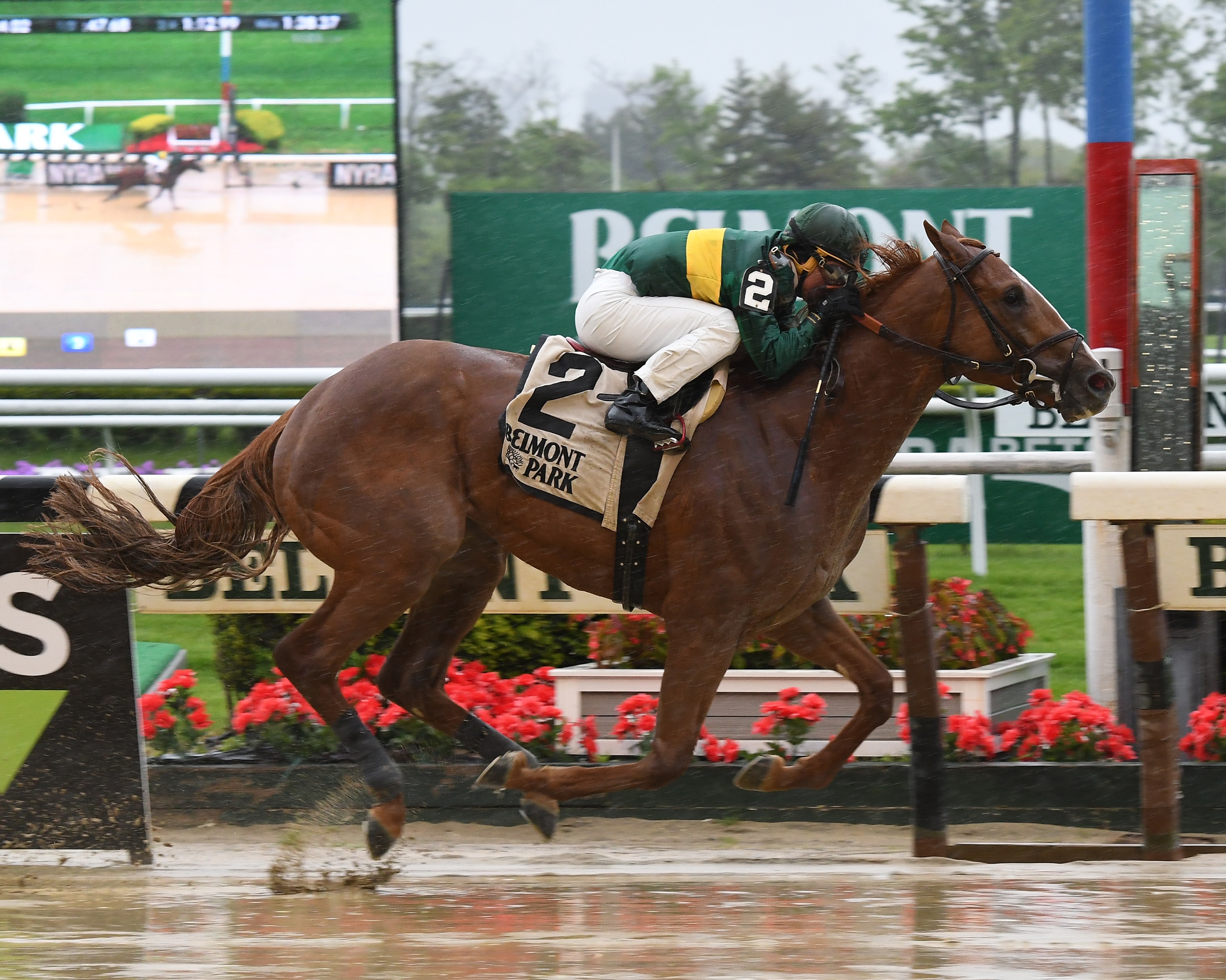 Timeline stays unbeaten in Peter Pan but Belmont Stakes appears doubtful