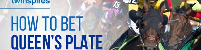 How to bet the Queen's Plate at Woodbine podcast series
