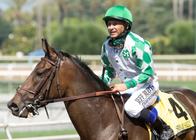 Sircat Sally hangs tough, stays unbeaten in Honeymoon