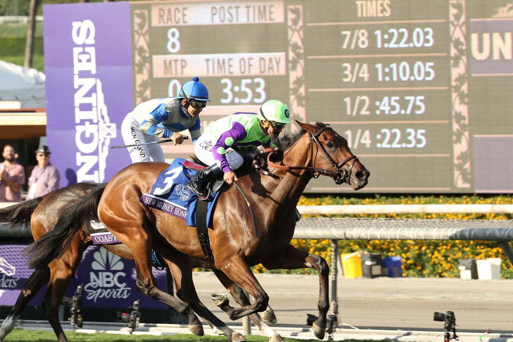Brown can sweep Wonder Again, Intercontinental on Belmont Stakes Racing Festival opener