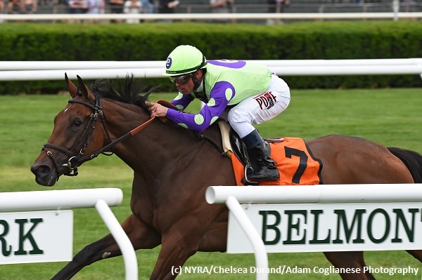 New Money Honey, Mississippi Delta score in Belmont turf stakes