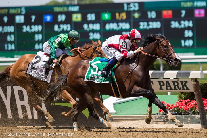 Songbird returns a winner in Ogden Phipps
