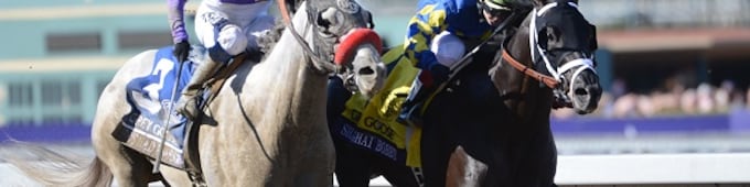 Shanghai Bobby represented by first winner as a sire