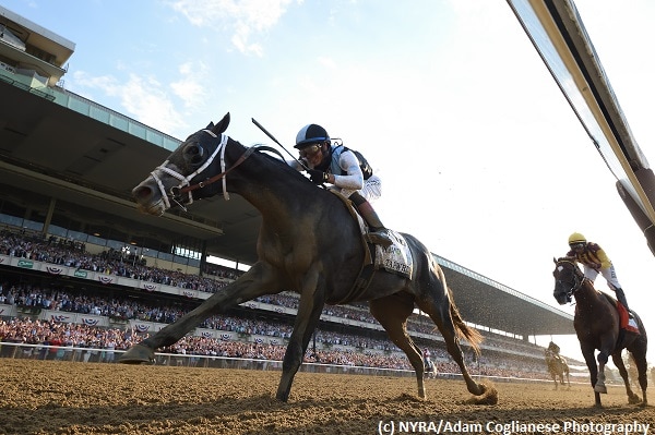 Tapwrit in ‘excellent shape’ one day after conquering Belmont Stakes