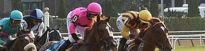 Irish War Cry, Meantime exit Belmont Stakes run in good order