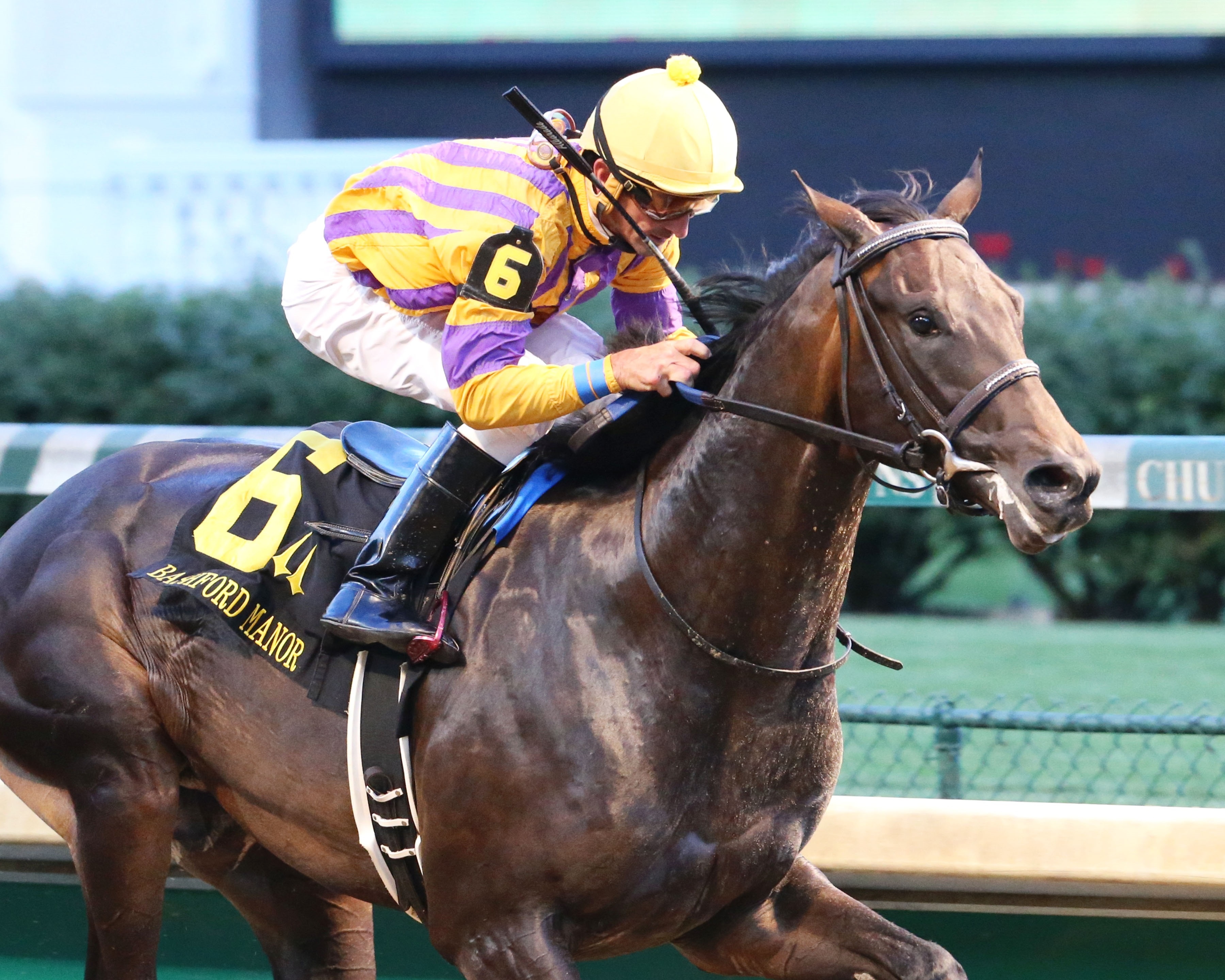 Ten City wins Bashford Manor over green Copper Bullet
