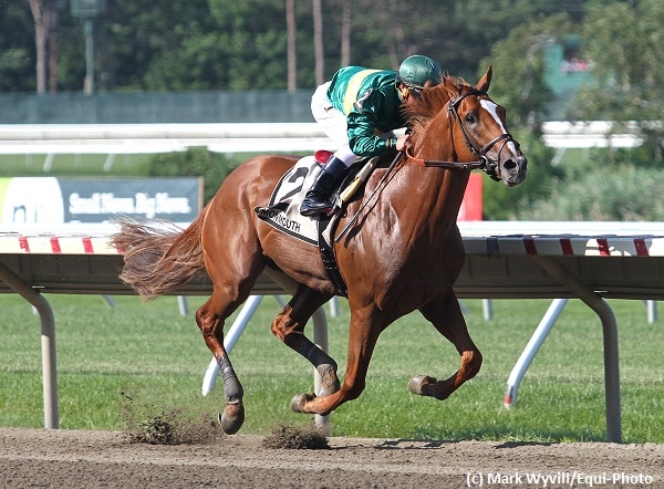 Timeline records effortless wire-to-wire Pegasus win