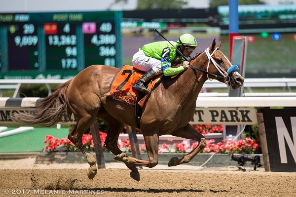 War Story earns first graded victory in Brooklyn Invitational