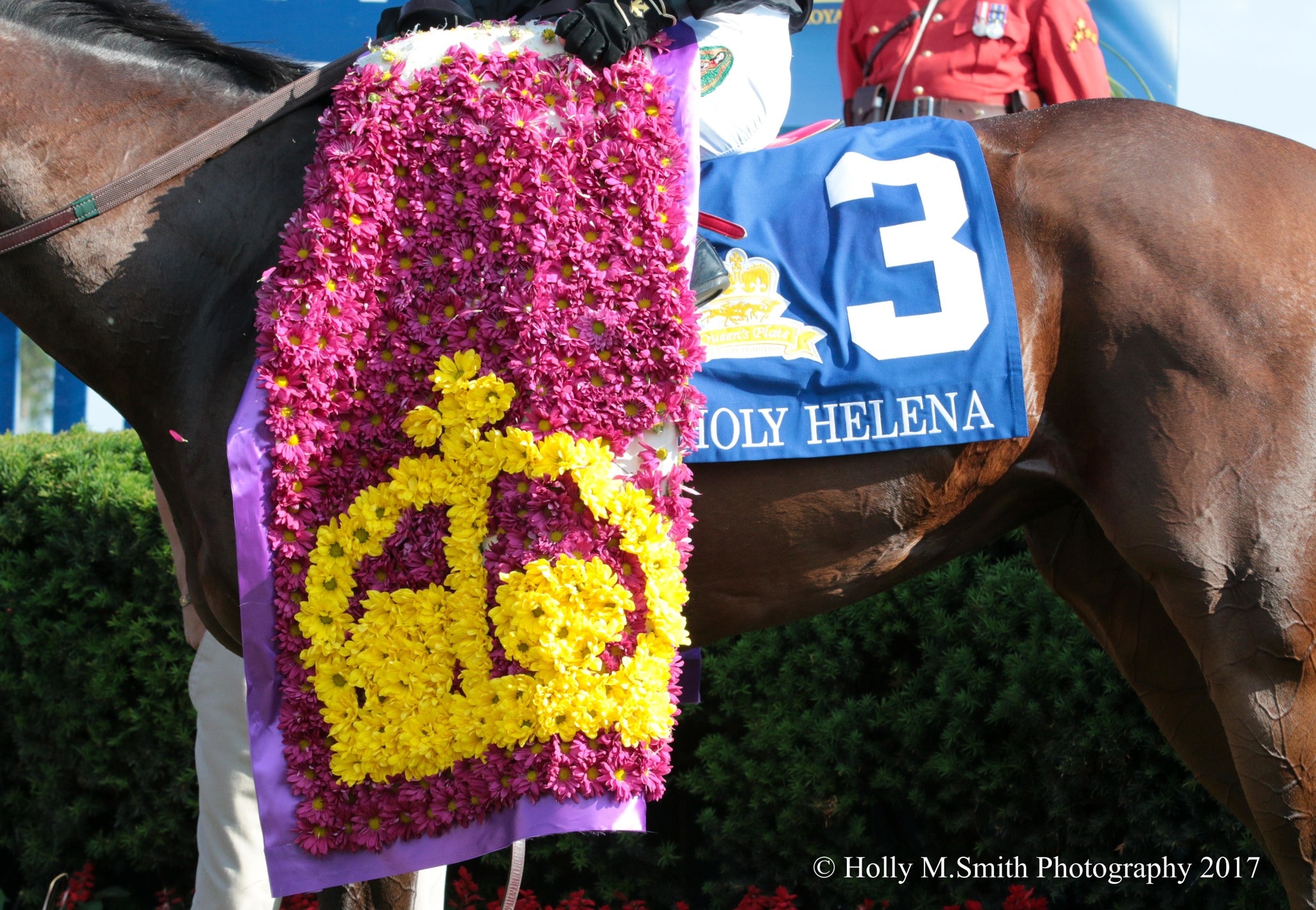 A Day At the Races: 2017 Queen's Plate at Woodbine